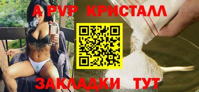 крисы Кунгур