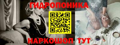 крисы Кунгур