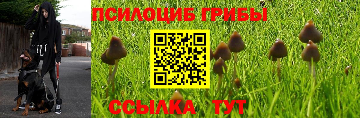 Псилоцибиновые грибы Magic Shrooms  Вход с VPN  Псилоцибиновые грибы мухоморы  Алушта 