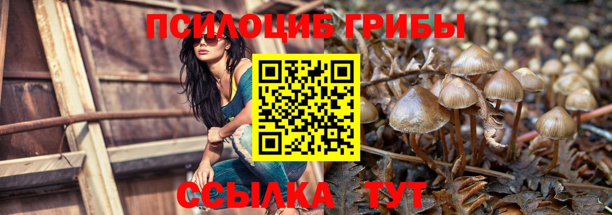 Галлюциногенные грибы мухоморы Алушта